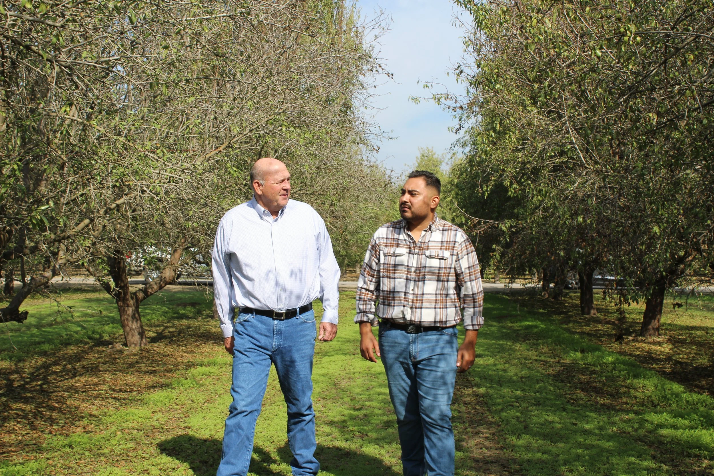 Two men walking and talking in an orchard with trees and grass, one older with a white shirt and the other younger with a plaid shirt.