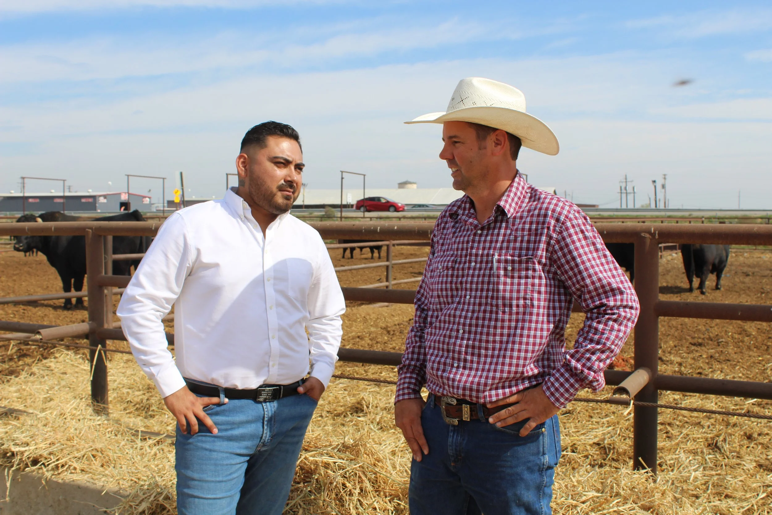 Two men having a conversation outdoors at a cattle farm, one wearing a white shirt and the other wearing a cowboy hat and checkered shirt, with cattle and a fence in the background.