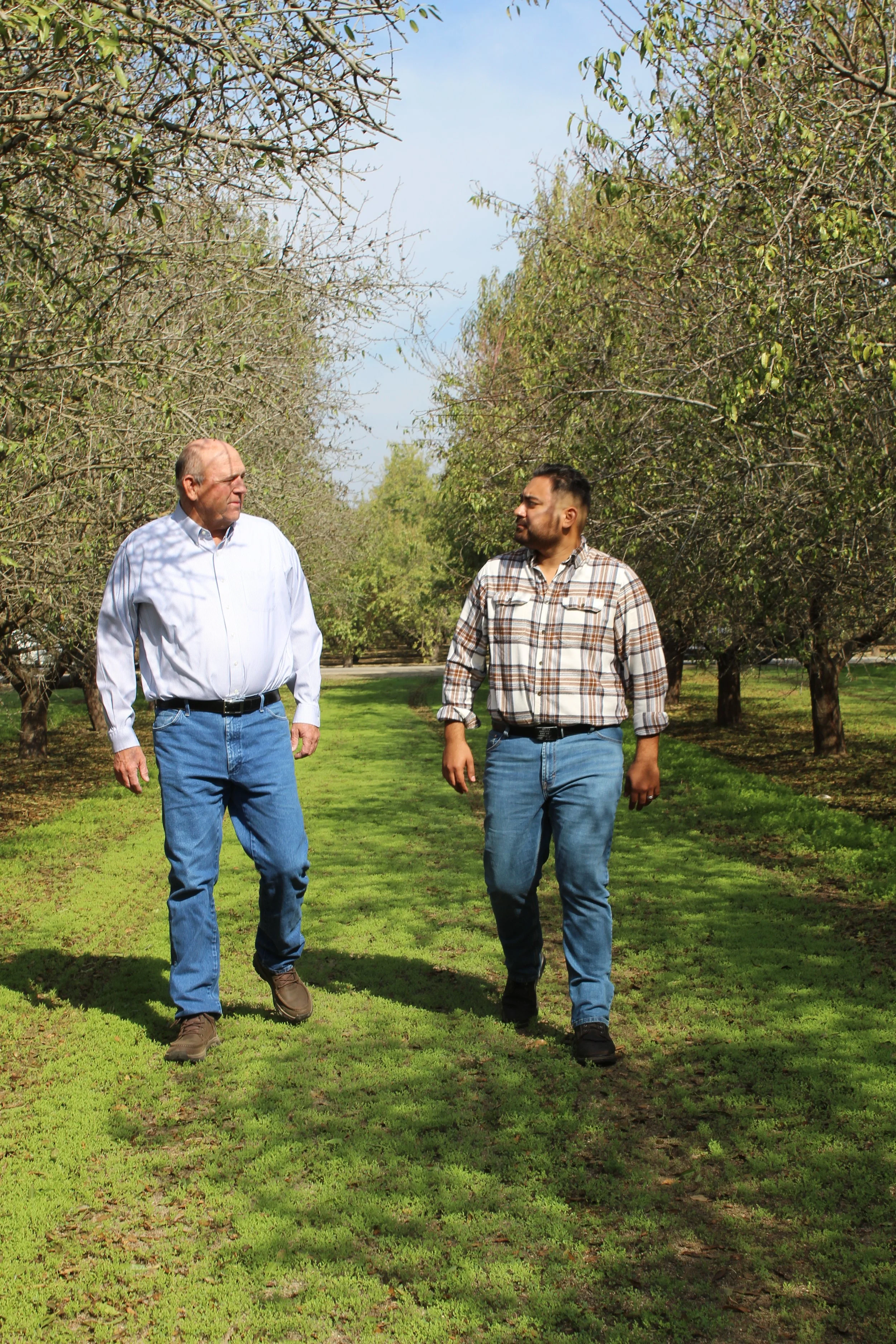 Two men walking and talking along a tree-lined path.