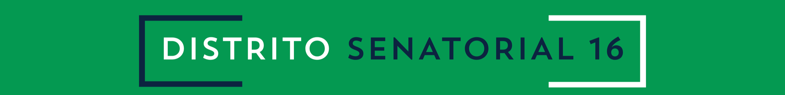 Green banner with white and navy blue text reading 'Distrito Senatorial 16'.