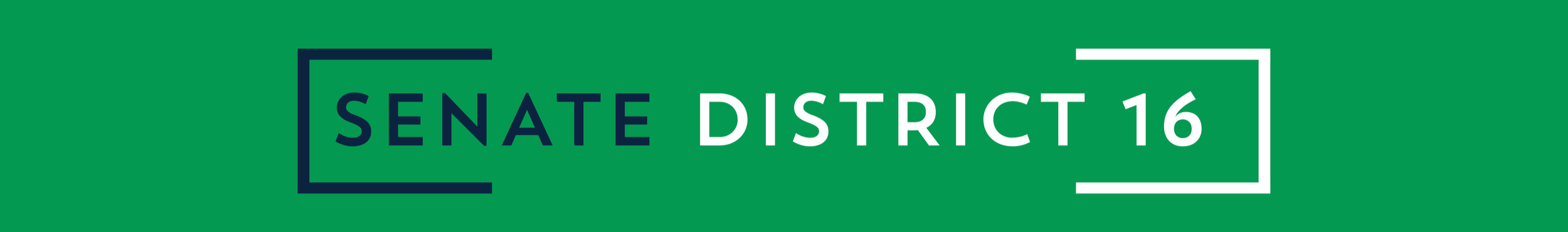 Political campaign sign reading 'Senate District 16' in green, white, and dark blue.
