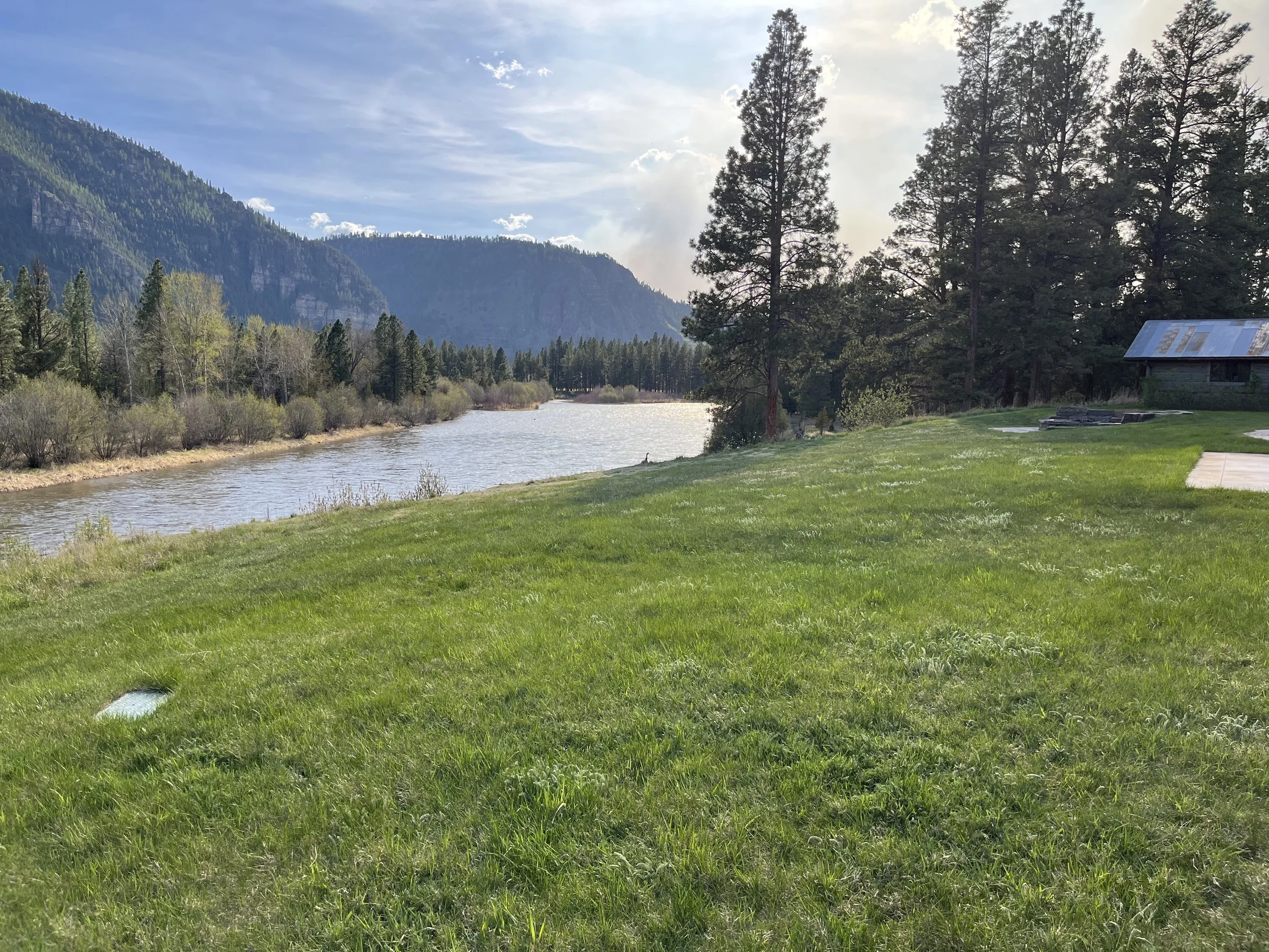 Scenic view of a river flowing through a grassy field with trees and mountains in the background under a partly cloudy sky.