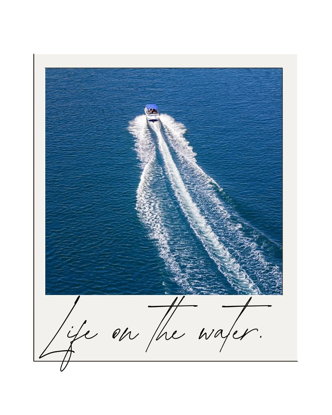 Top 5 Boat Excursions to Experience in Bonita Springs