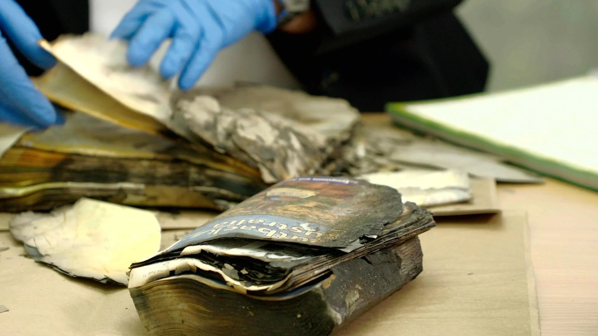 Burnt Book Evidence.jpg