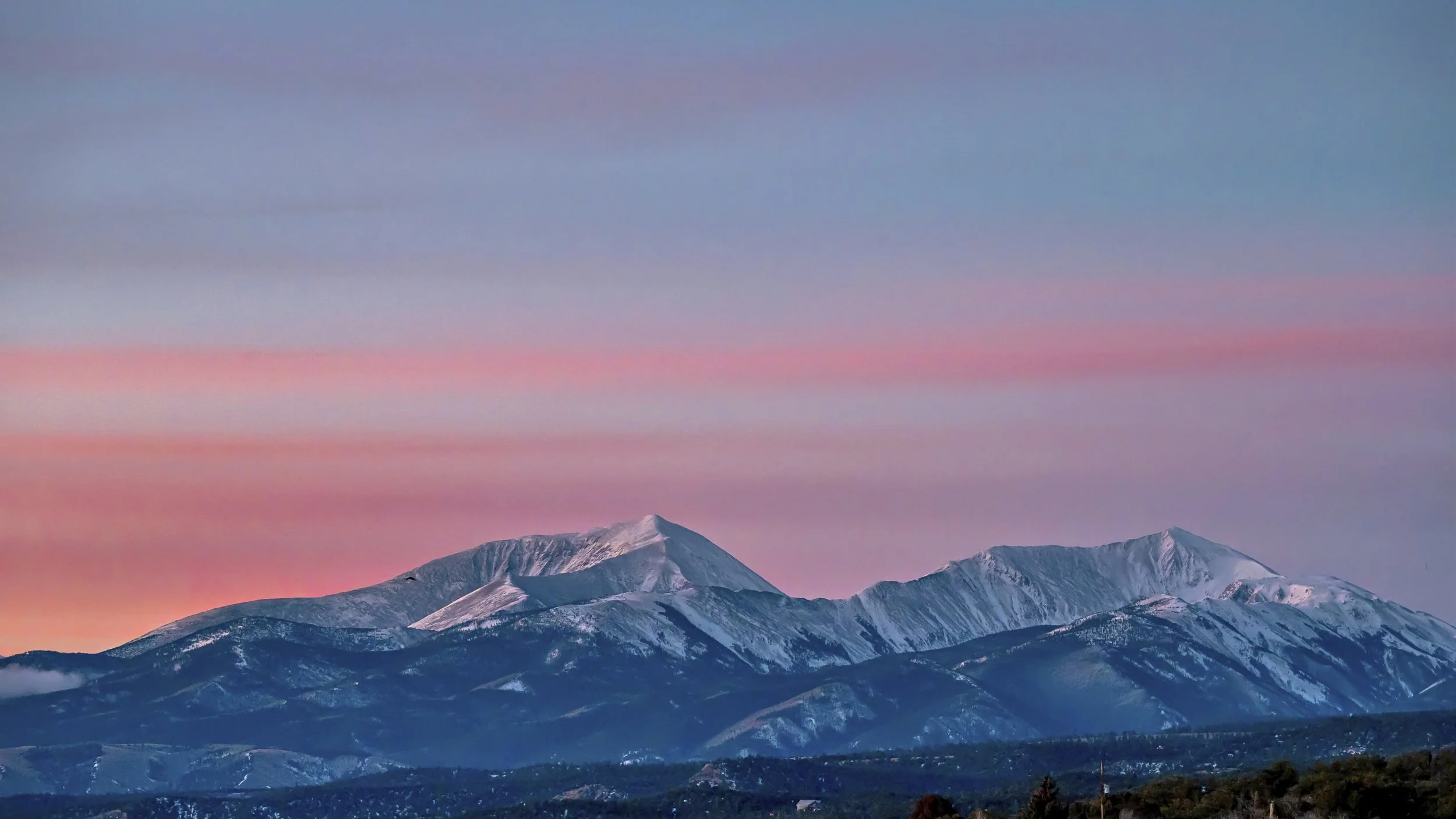 DSC_83623.1.26 radiant.jpg