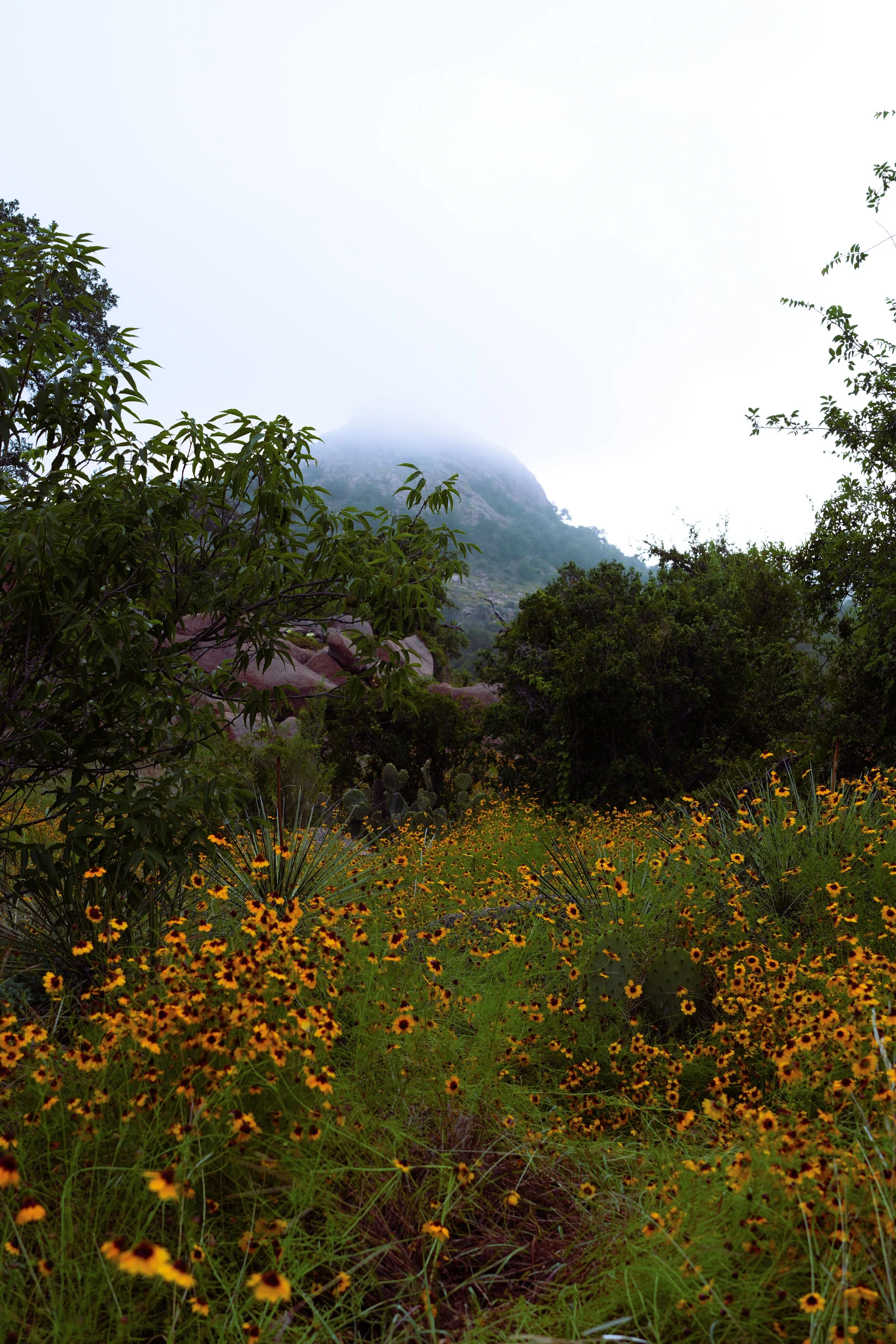 DSC03893.jpg
