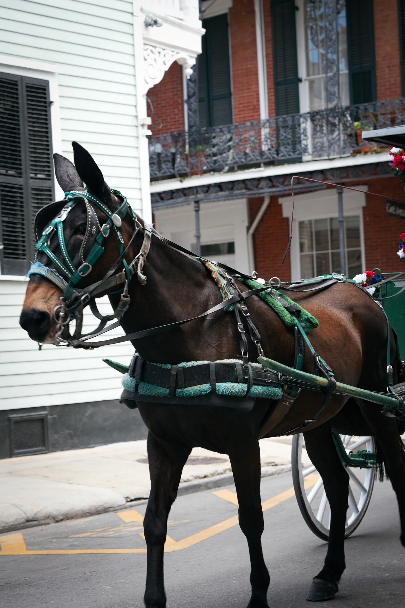DSC03432.jpg