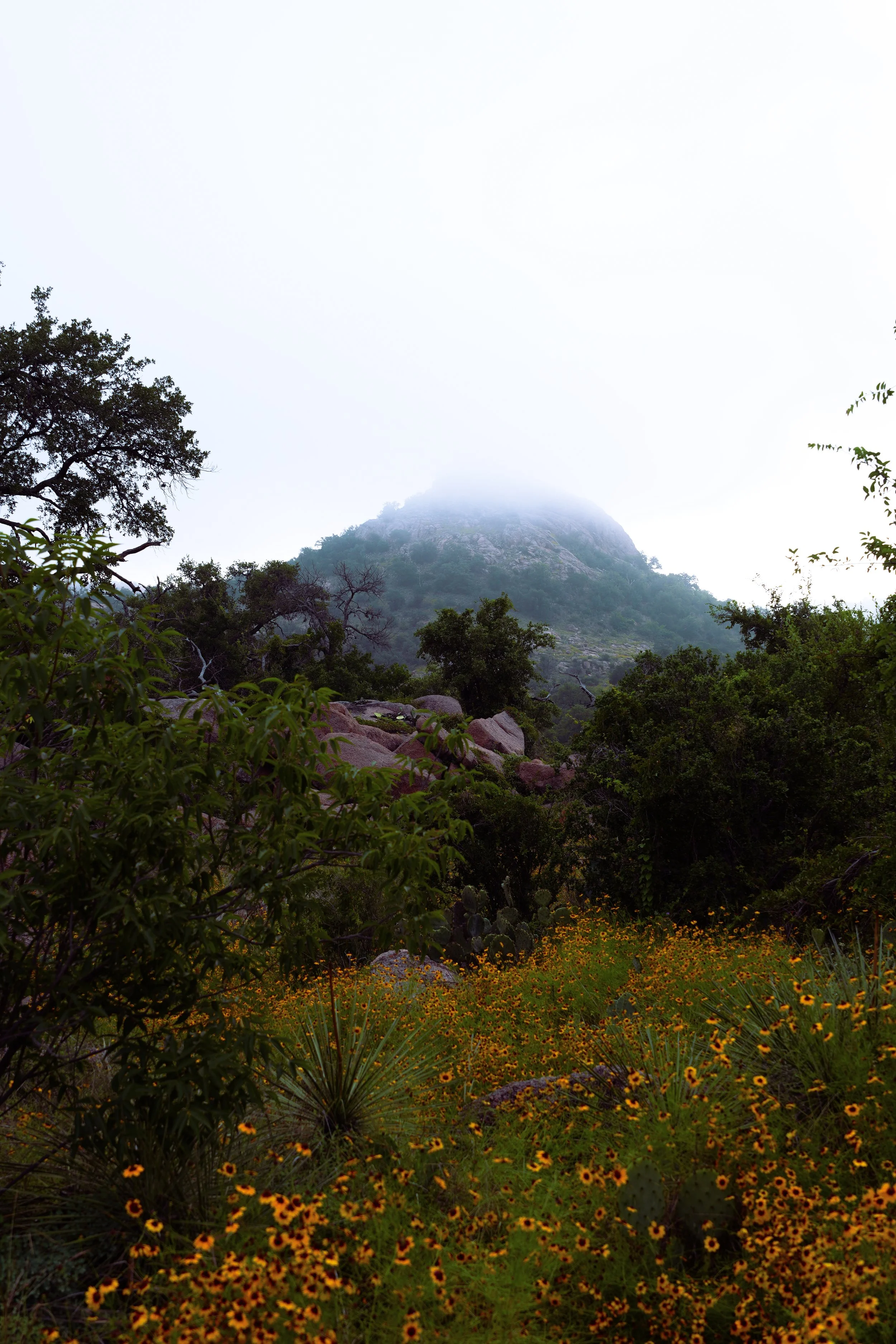 Enchanted Rock, Texas