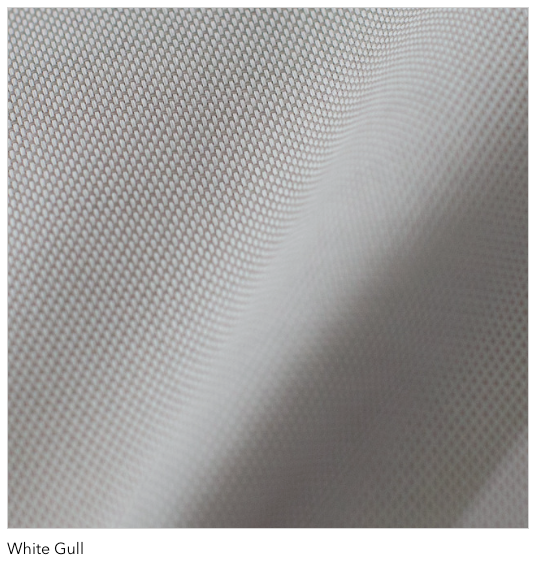white-gull-10d3.png