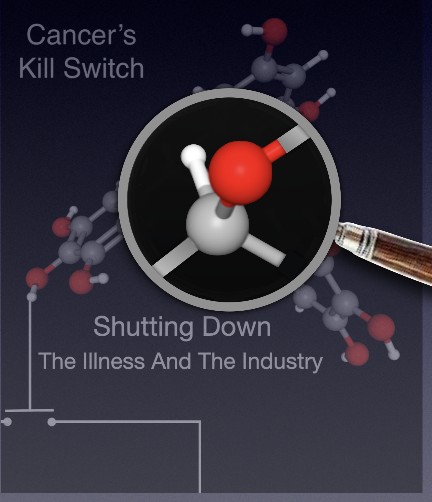 Look Inside - 1st Two Pages of Each Chapter