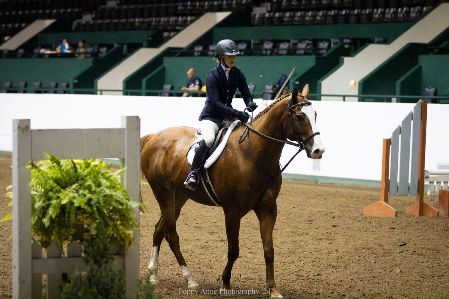 Minnesota State Fair Horse Show