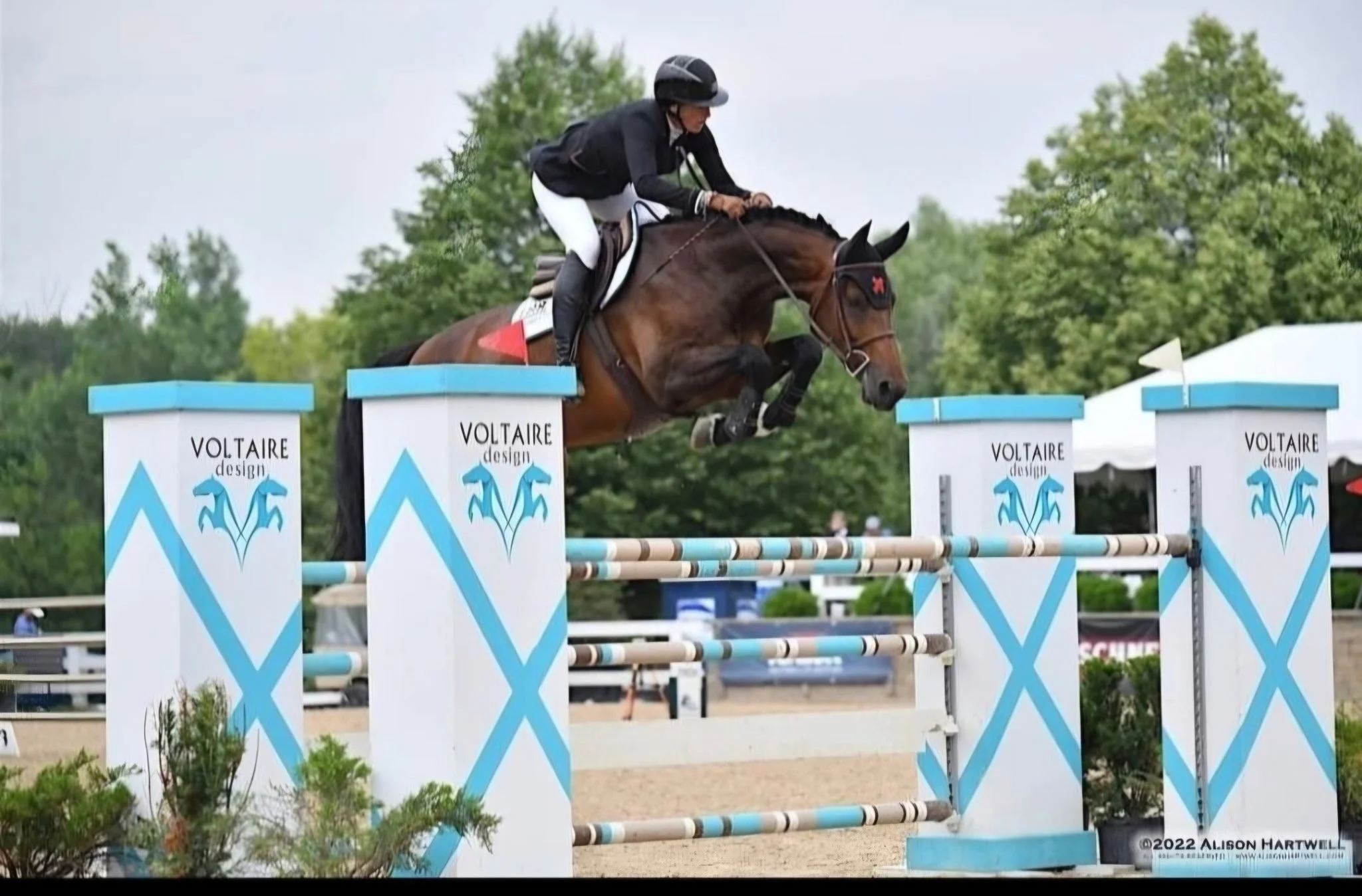 Shannon Hicks Clinic