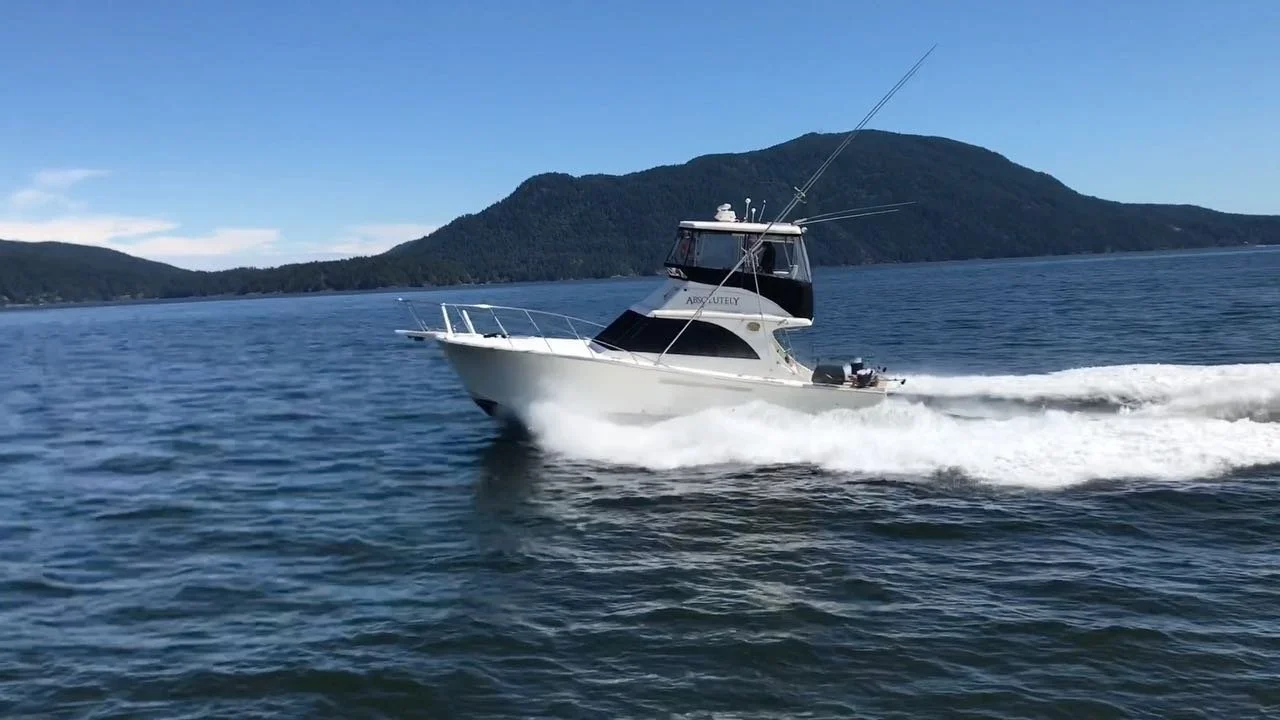 Beauty day out on the Georgia Strait!
.
.
.
#jerseydawn #jerseyyachts #vikingyachts #viking #vancouver #yvr #britishcolumbia #sportfishing #sportfisher #pacificnorthwest #hatteras #kingfisher #fishbc #fishcanada