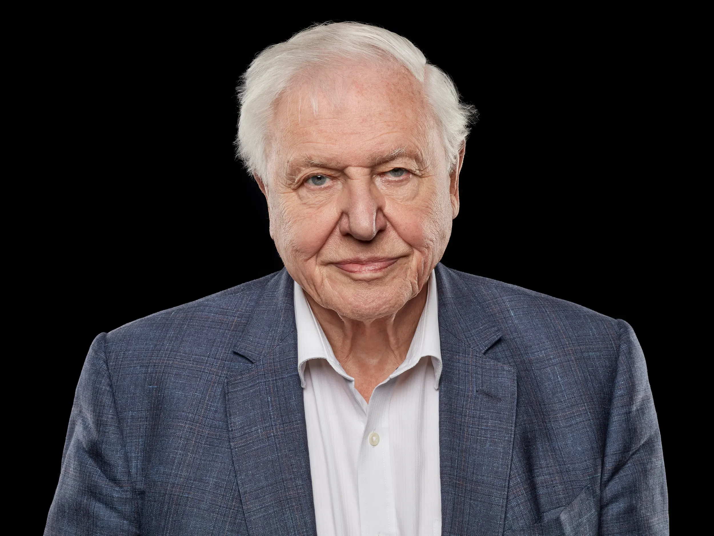david-attenborough-headshot-business-5.webp