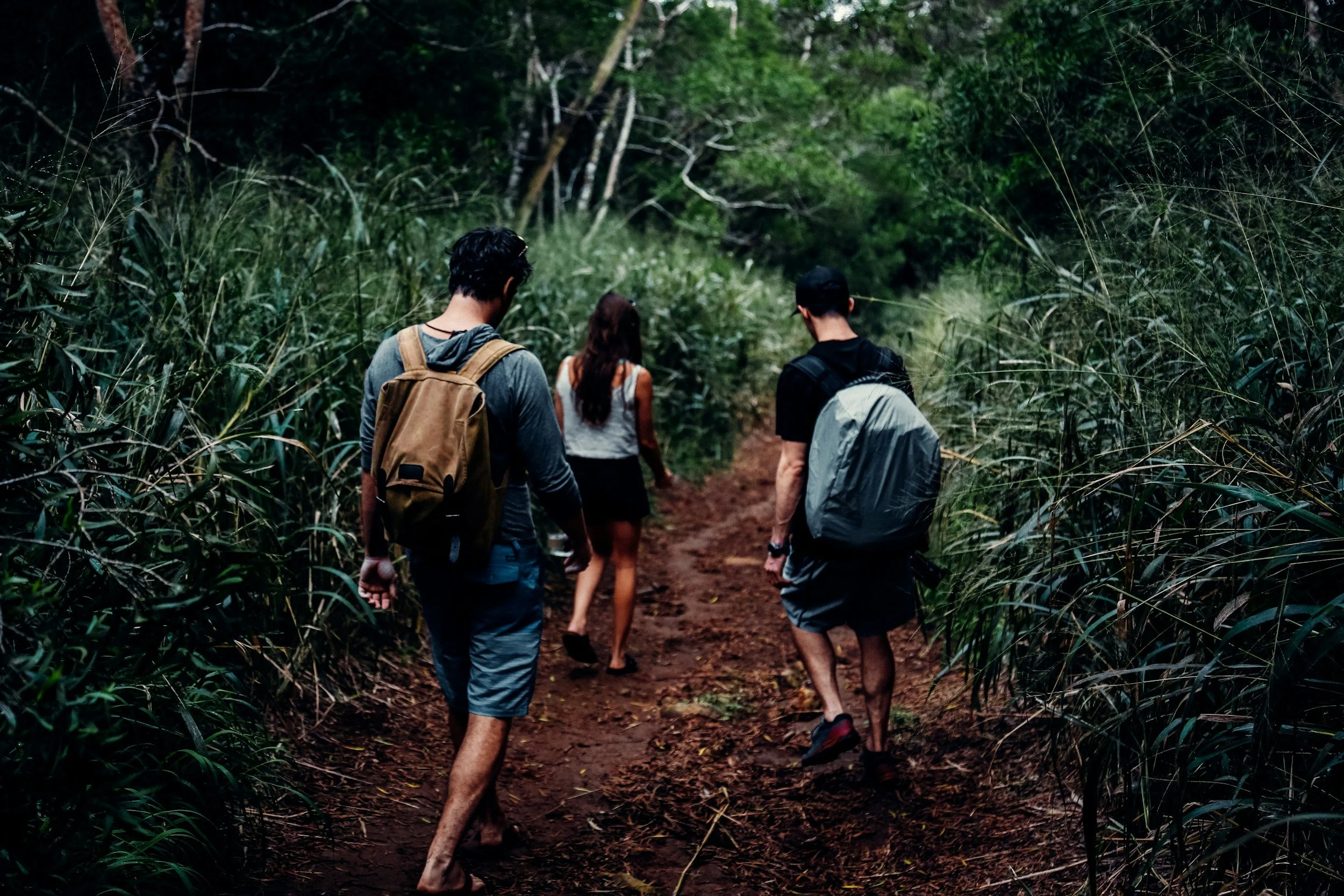 Quatro pessoas caminhando por uma trilha em uma floresta densa, duas com mochilas nas costas, uma com cabelo castanho e uma com cabelo escuro, todas vestindo roupas confortáveis para caminhada.