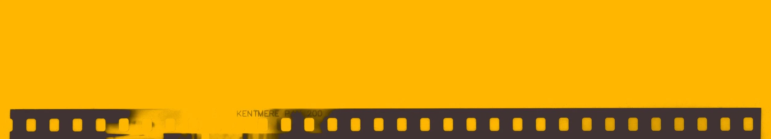 Close-up of a strip of photographic film with a yellow background.