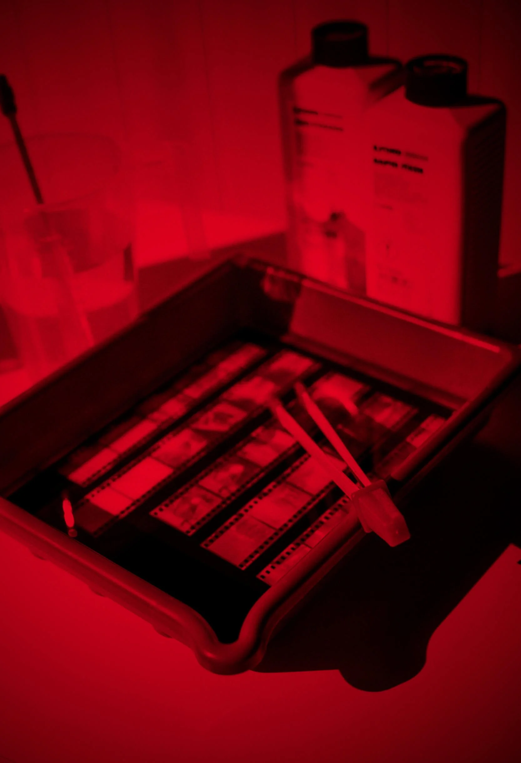 A red-coloured scene in the darkroom showing a film developing tray with a contact print, a pair of tongs, and a red safe-light shining on the items. In the background, there are bottles of film developer, stop bath and fixative chemicals on a shelf.