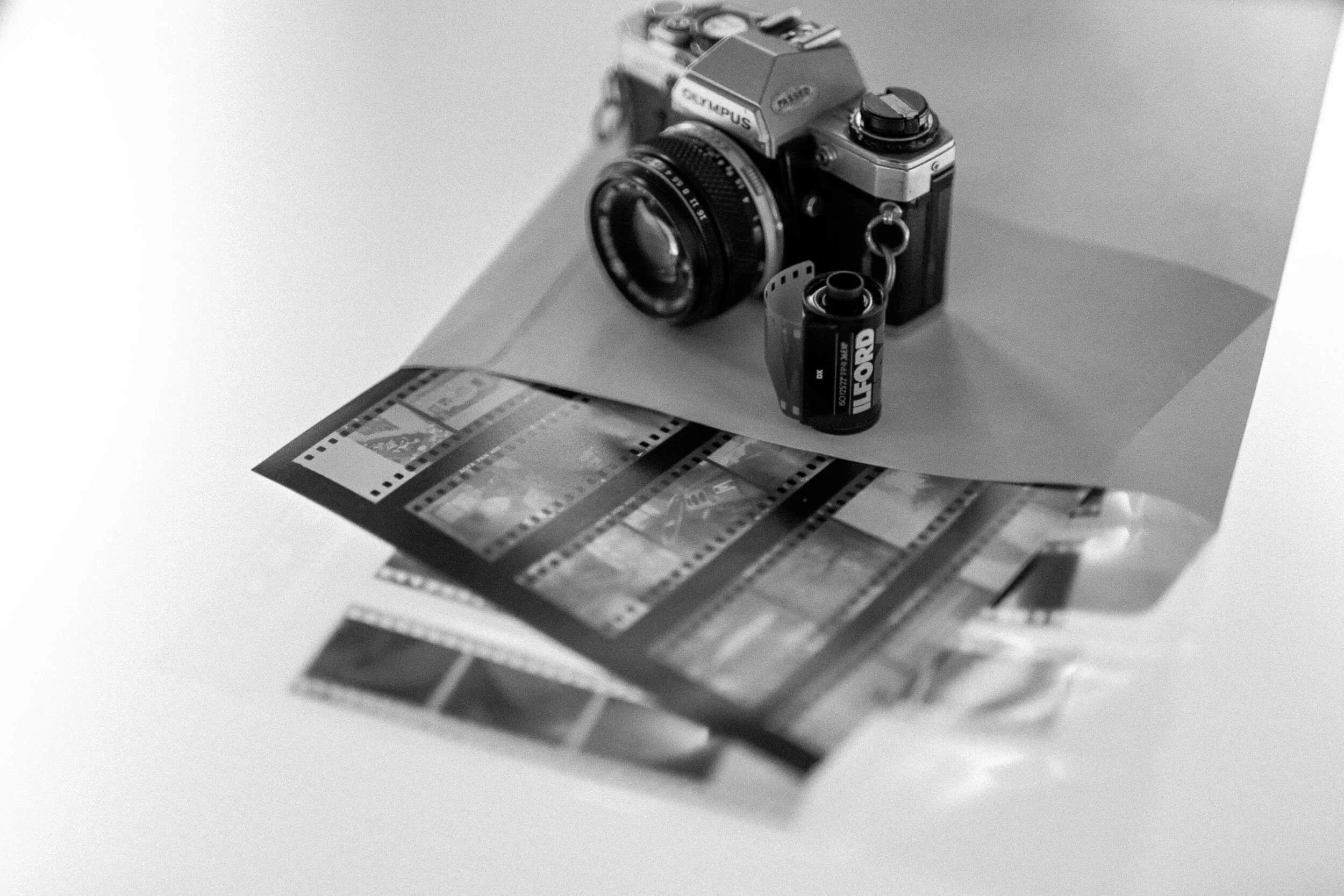Camera, film and contact print