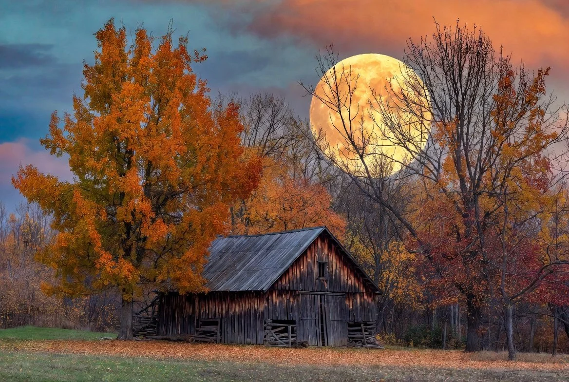 Autumn scene with trees displaying fall foliage and an old wooden barn under a large full moon in a cloudy sky.
