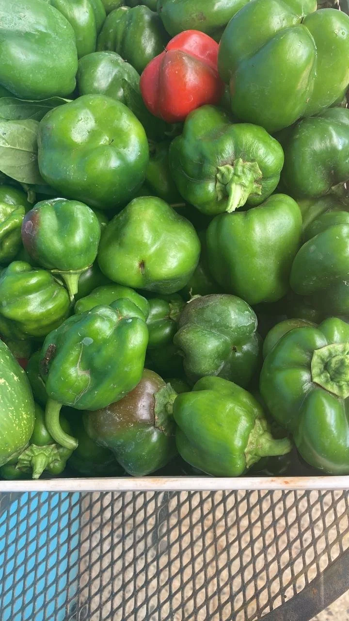 Sweet Peppers