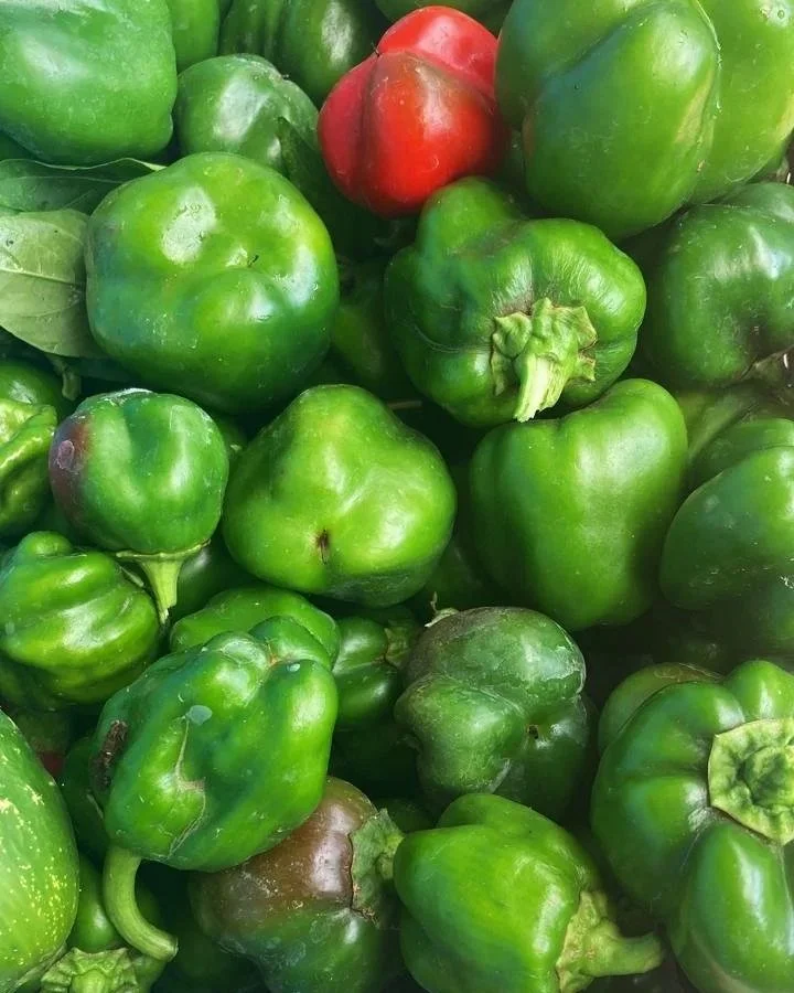 Sweet+Peppers.jpg