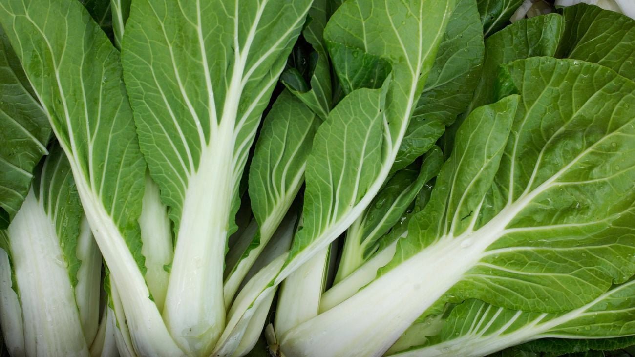 Pak Choi