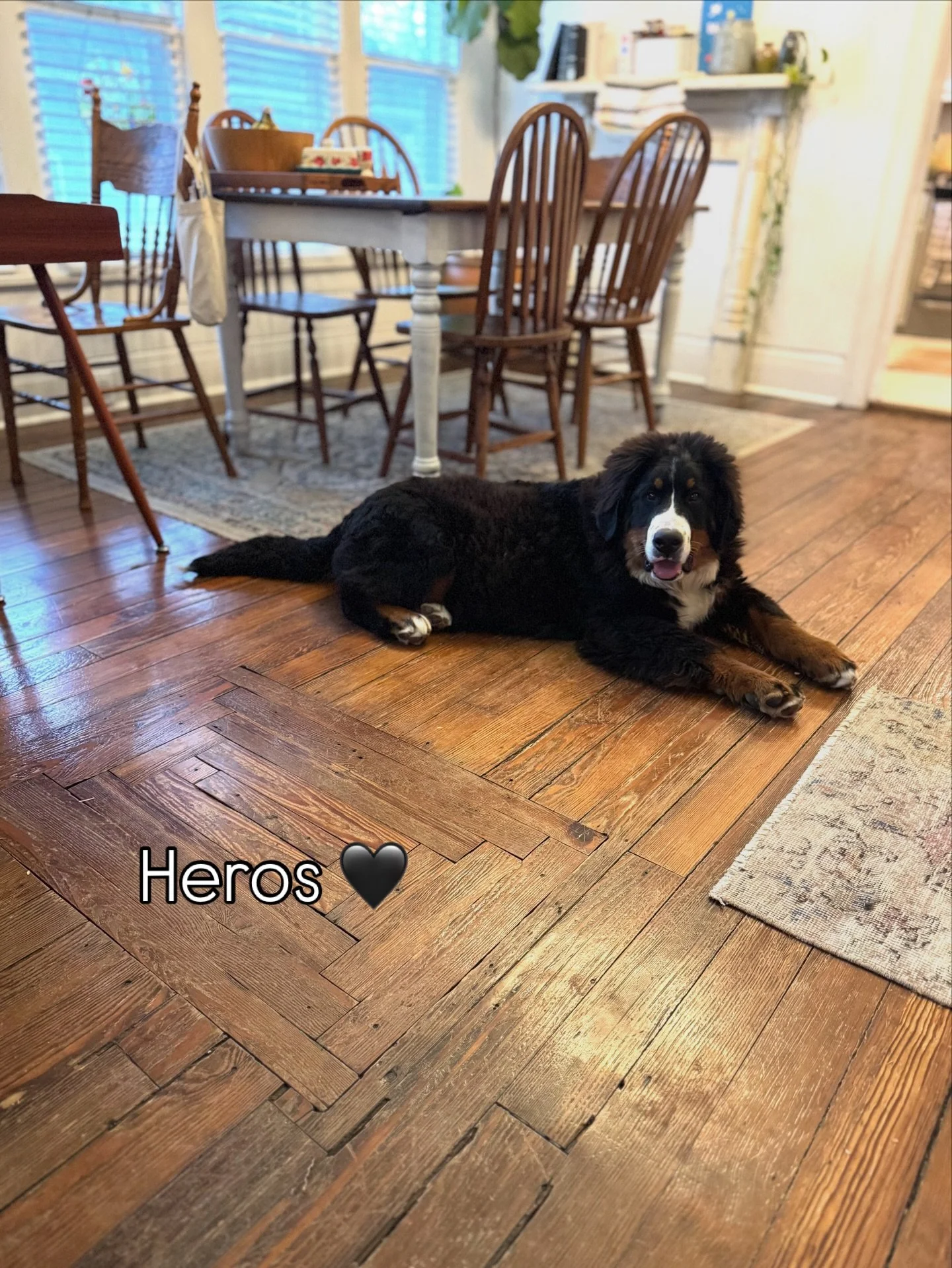 not even halfway grown 😬