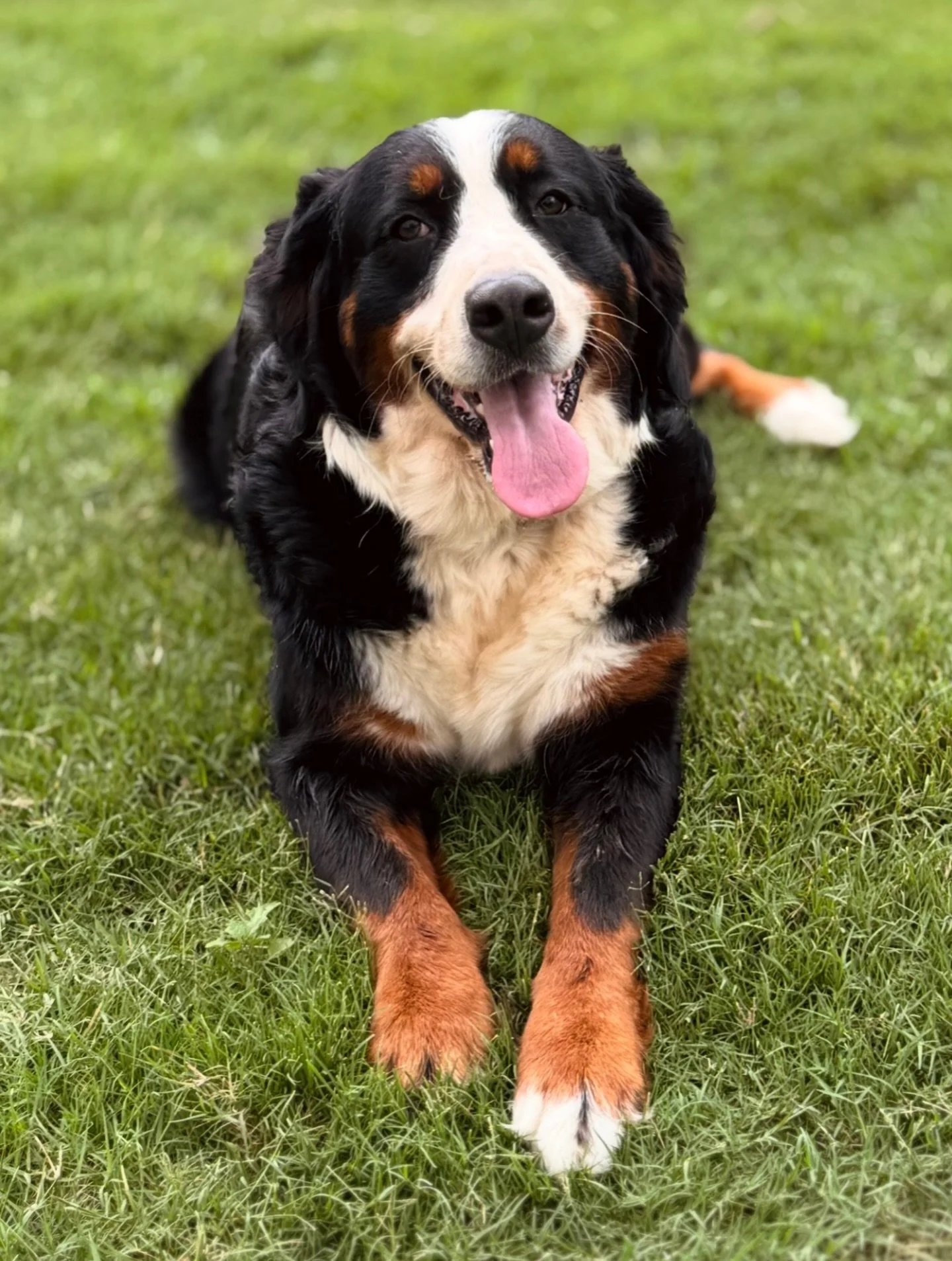 Counting down the days until we know if this beautiful girl is going to be a mom again in a few weeks!