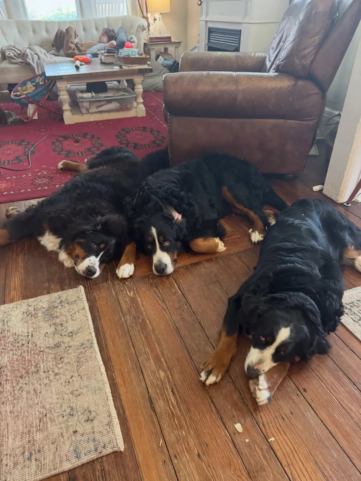 oops, i&rsquo;ve clearly disturbed their naps 😳