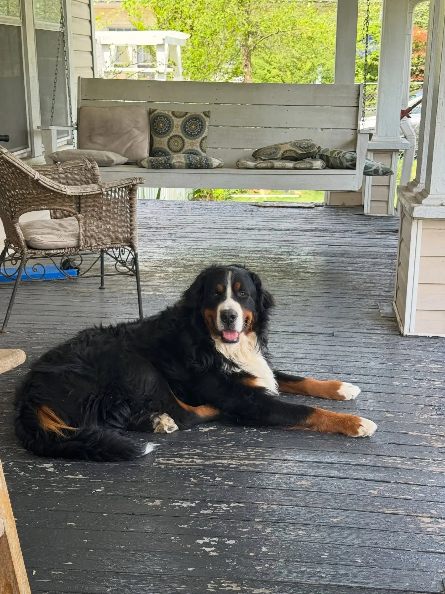 just one of those kind of days