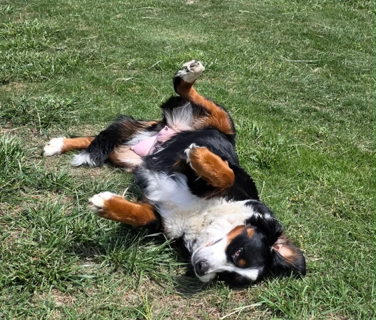 Mom Fiona taking a break with friends and basking in the sunshine 🌞
