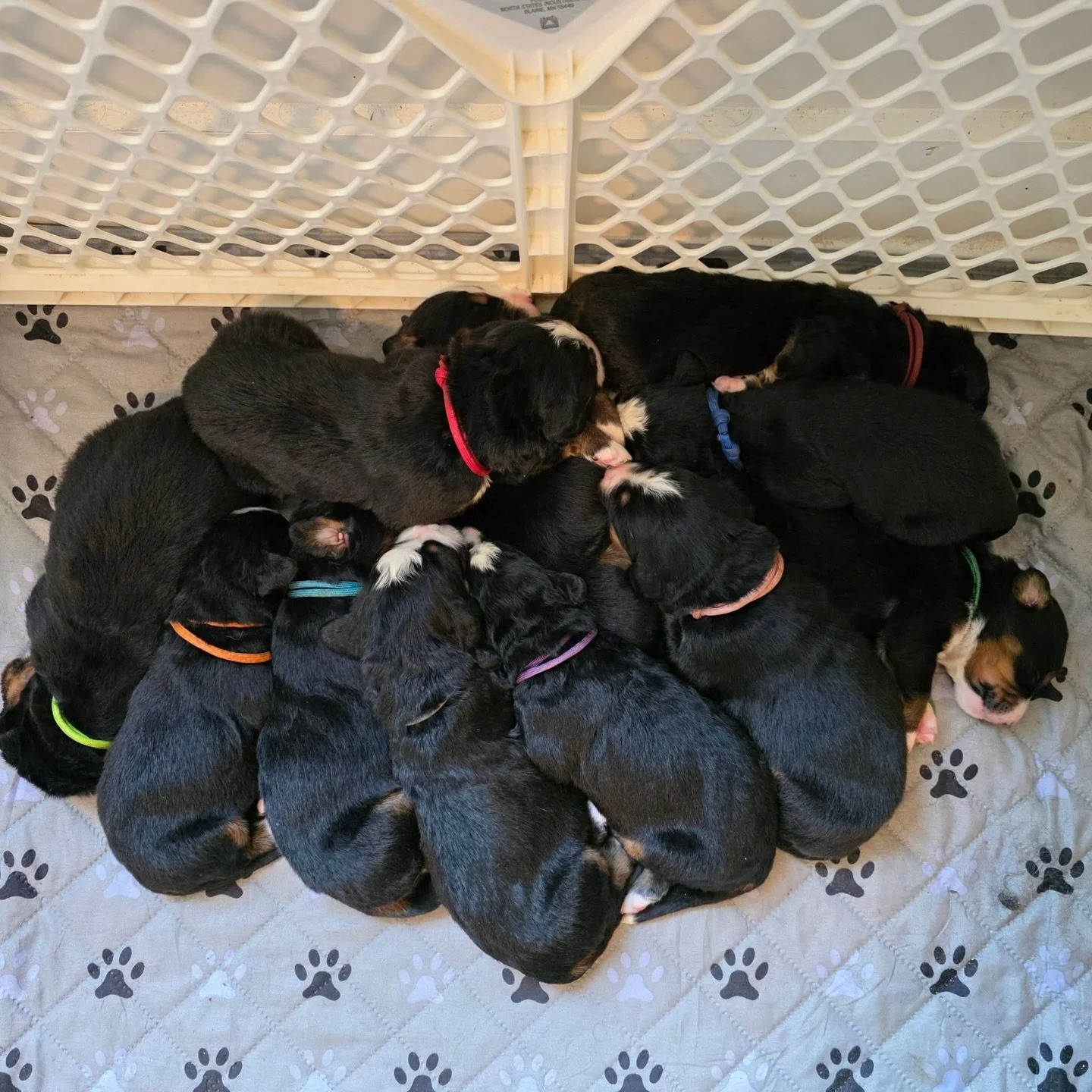 doing what babies do best!