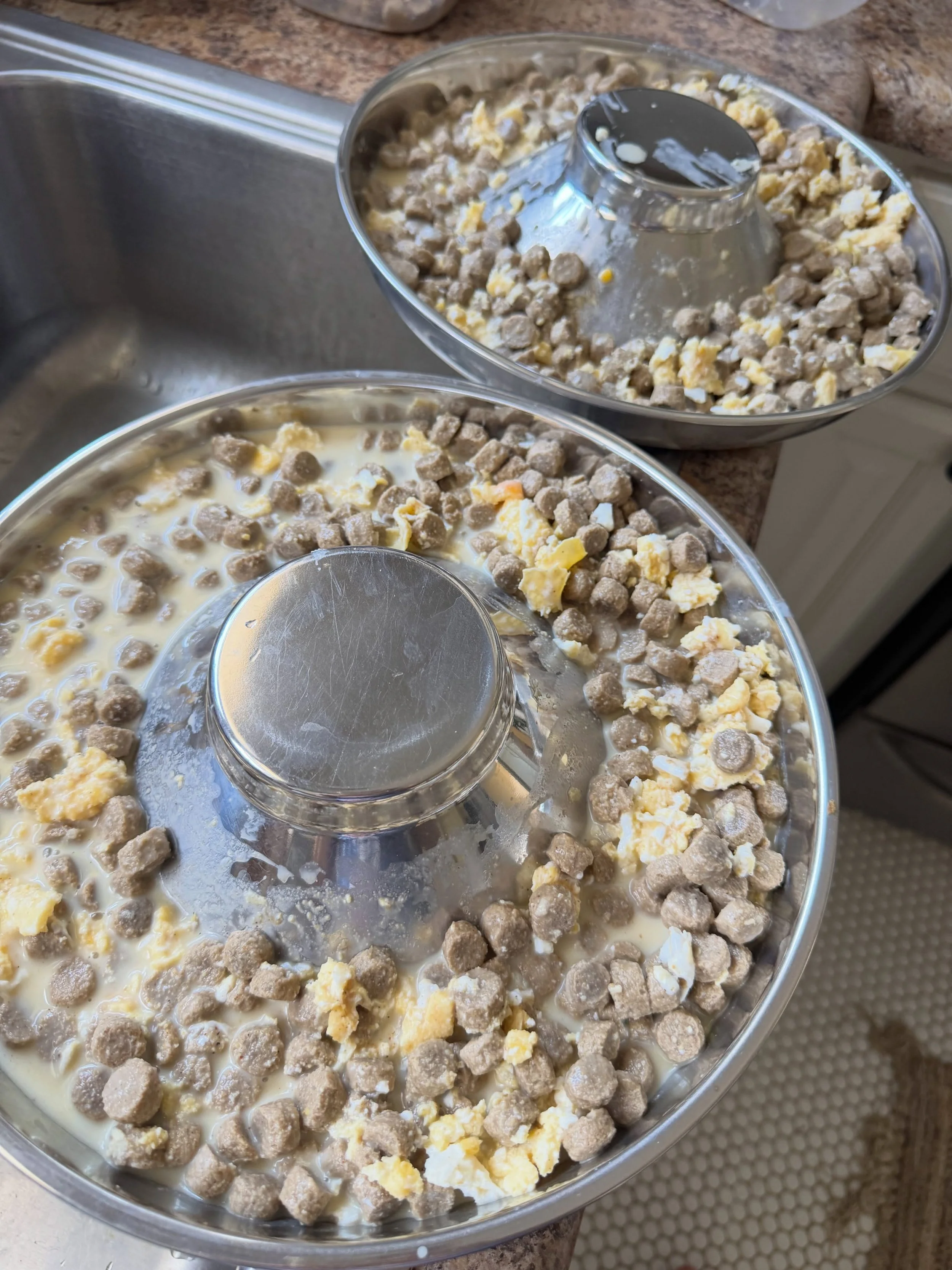 on the menu for dinner: softened dry food, scrambled eggs, plain greek yogurt and goat milk.