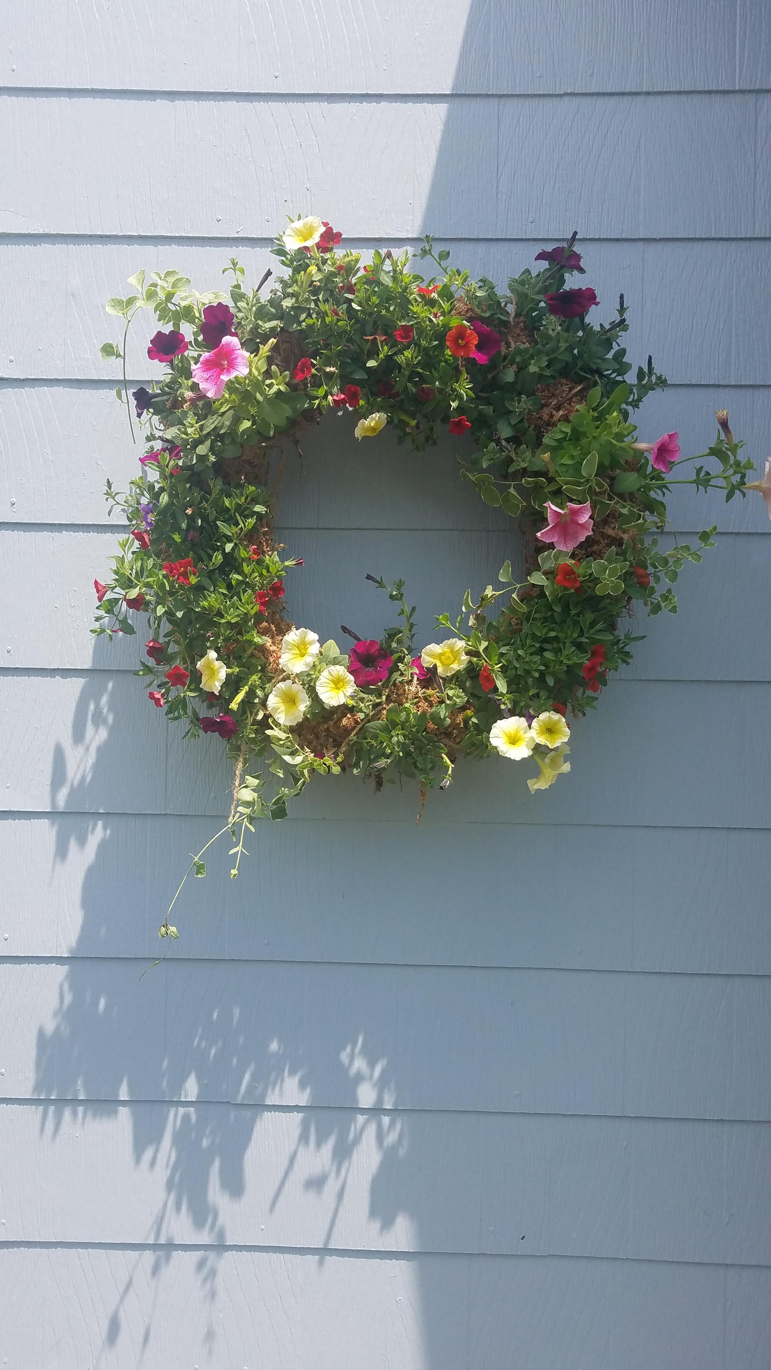 A flower wreath with multicolored petunias hanging on a light blue wooden wall.