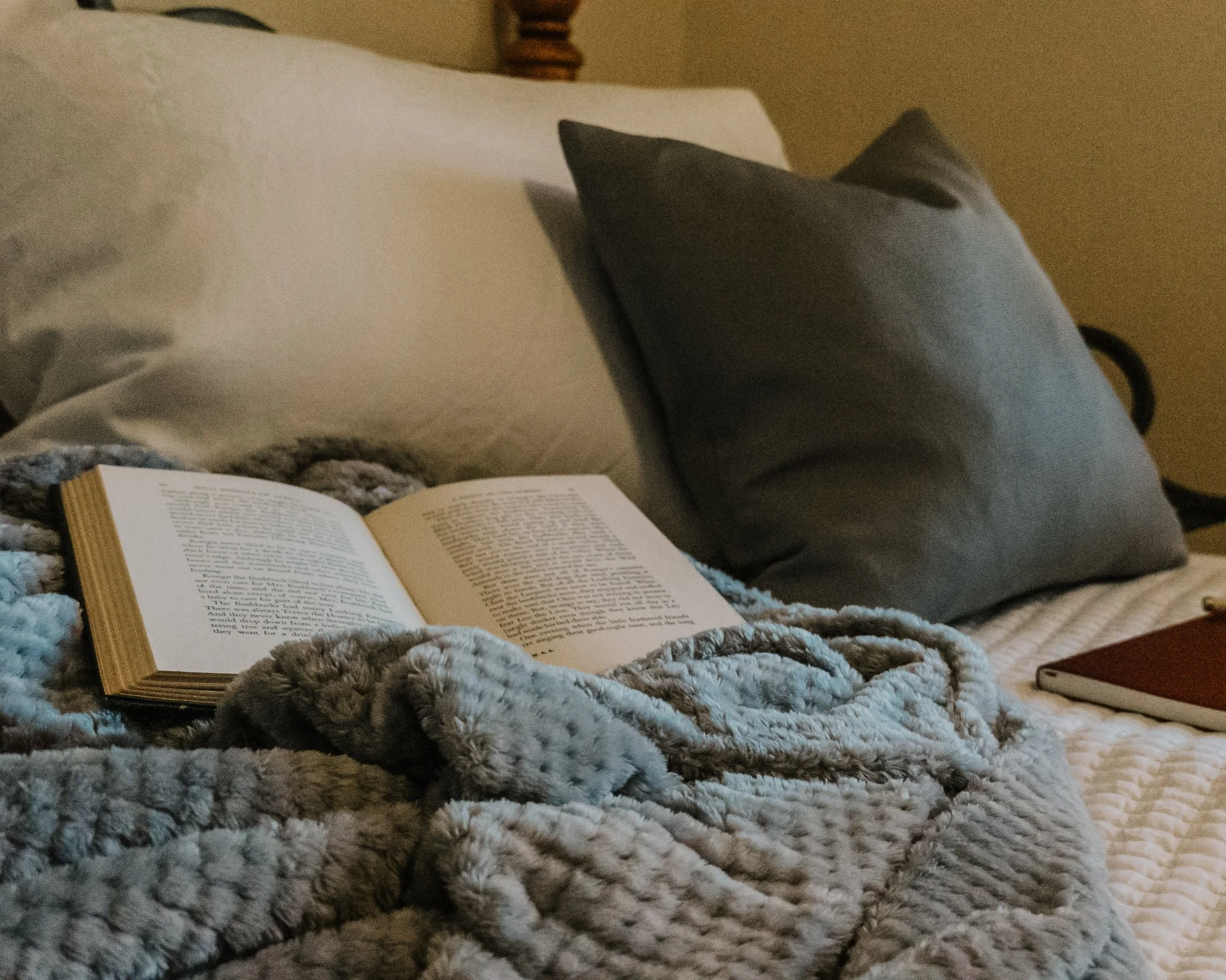 Muse portfolio (website)-08.jpg