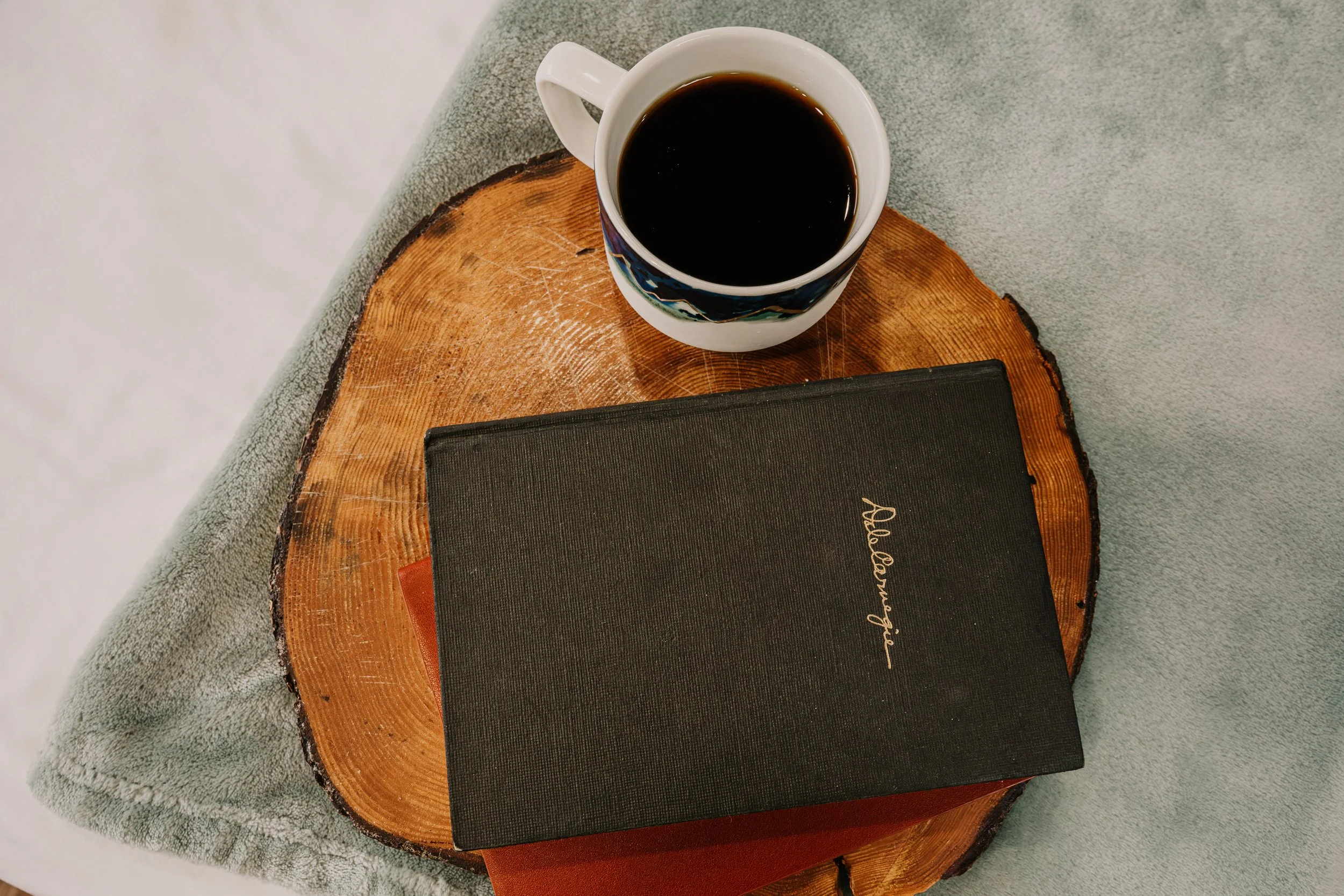 Shorepine — Tiny Tranquility, Waldport, OR | Content Refresh