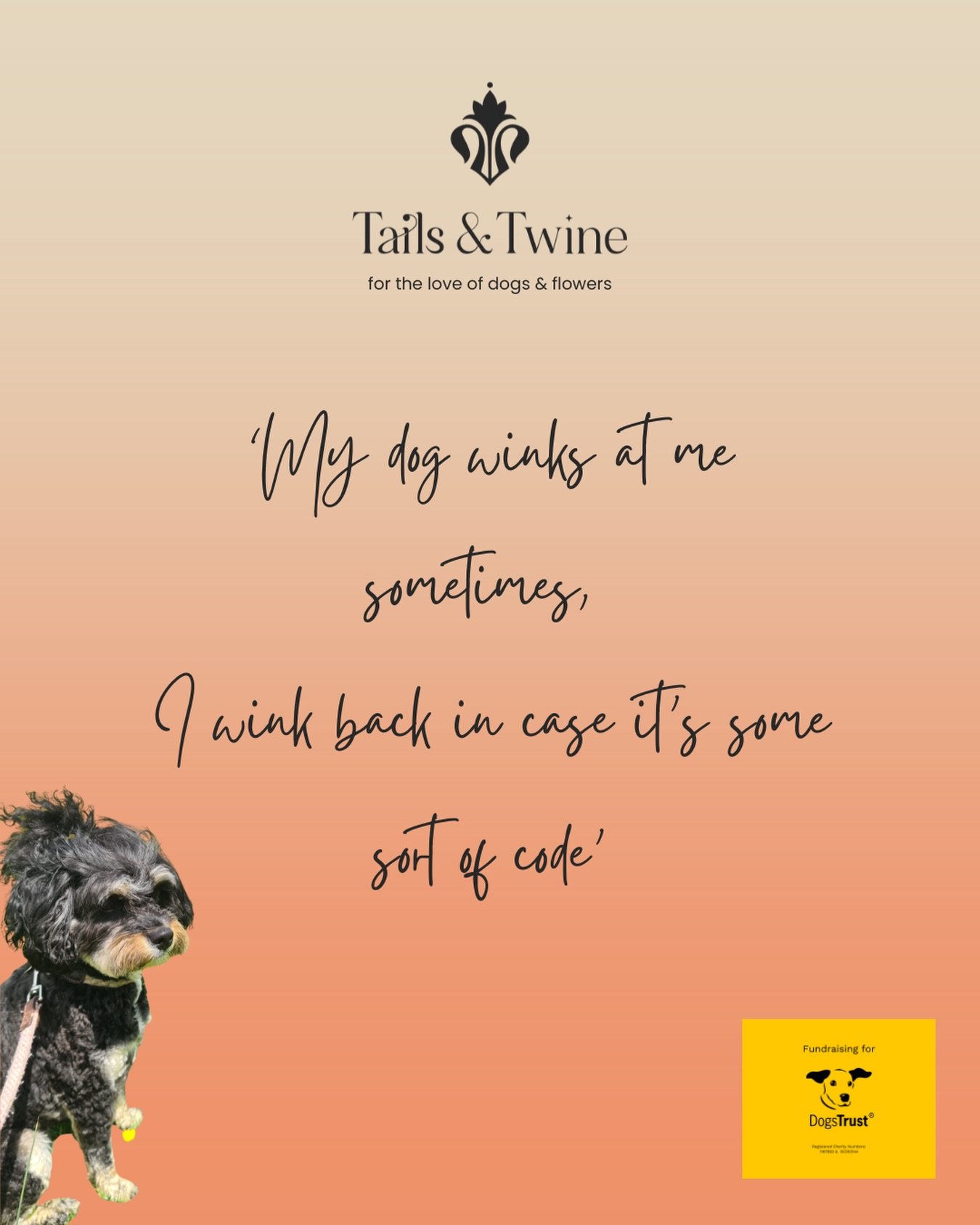 I&rsquo;m so proud to share that Tails &amp; Twine is officially part of the Pawcentage Pooch campaign, donating 5% of every sale to @dogstrust 

So every bouquet, workshop and wedding flower quietly helps rescue dogs find safety, care and second cha