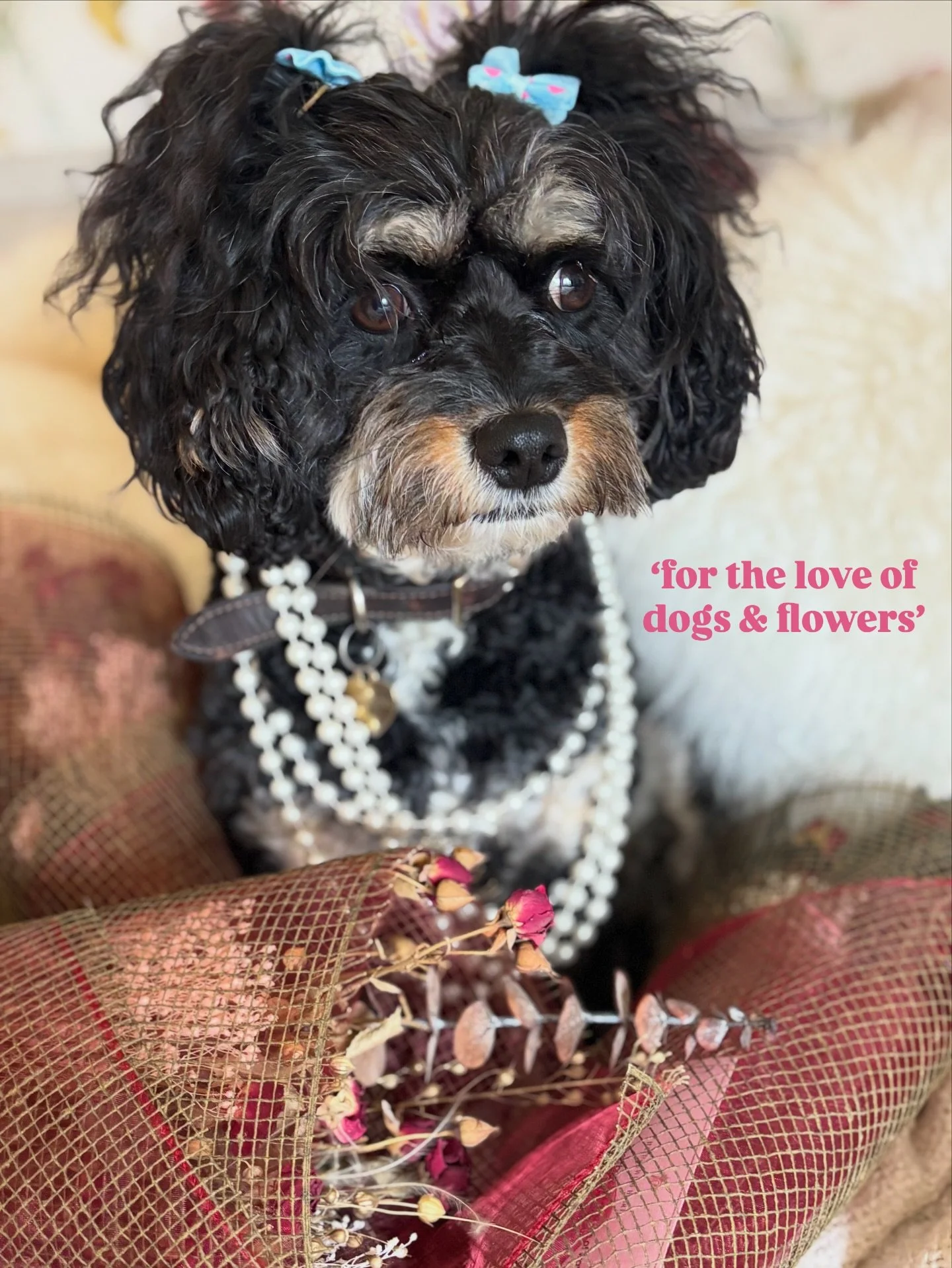 &lsquo;For the love of dogs &amp; flowers&rsquo; 

Drop me a 🌸 and a 🐾 if you resonate!

Did you know that every sale at Tails &amp; Twine donates 5% to the @dogstrust ❤️ 

Drop me a DM with any order queries!

Lots of love from Sophy &amp; Missy x