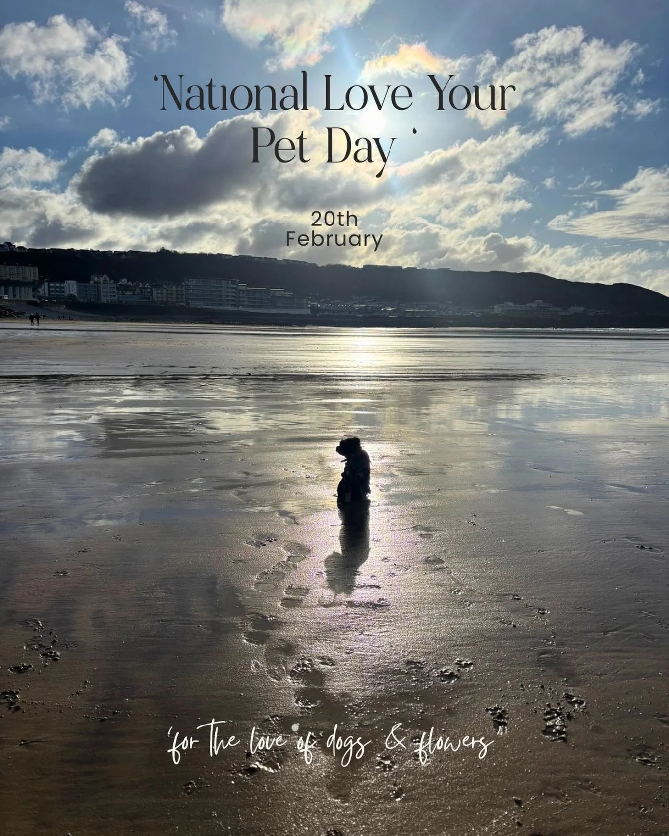 For the love of dogs. Always. 🐾

They&rsquo;re there in the quiet moments.
On the windy beach walks.
In the muddy paw prints dotted around the house. 
In the unconditional, tail-wagging, whole-body wagging kind of love 🧡 

Today&rsquo;s a little re