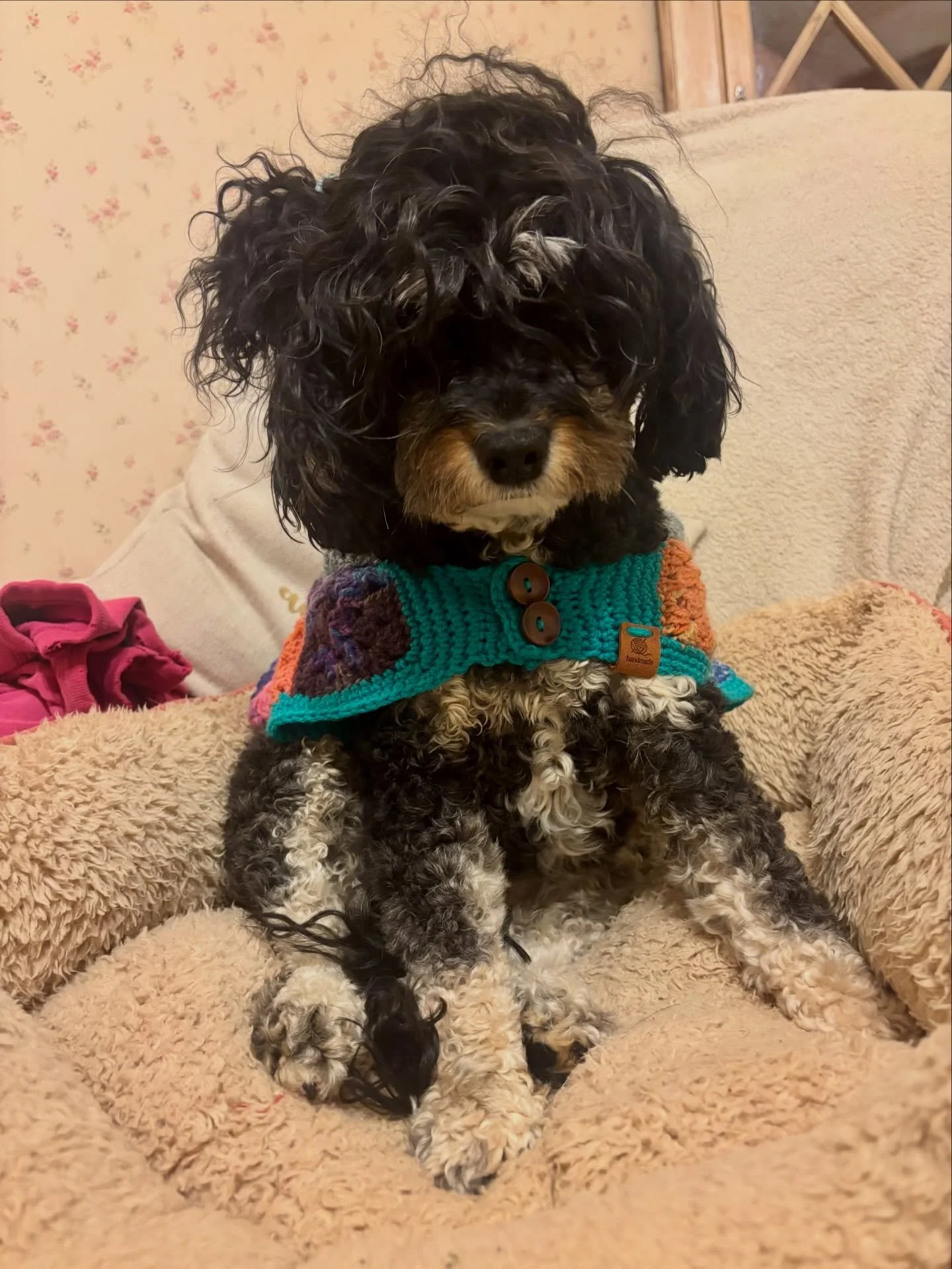 Behind every strong woman 
is a dog 
who thinks she&rsquo;s amazing 😜🐾 

Happy International Women&rsquo;s Day from me and Missy🌹

Celebrating all the brilliant women out there, especially the ones who talk to their dogs like people, carry emergen