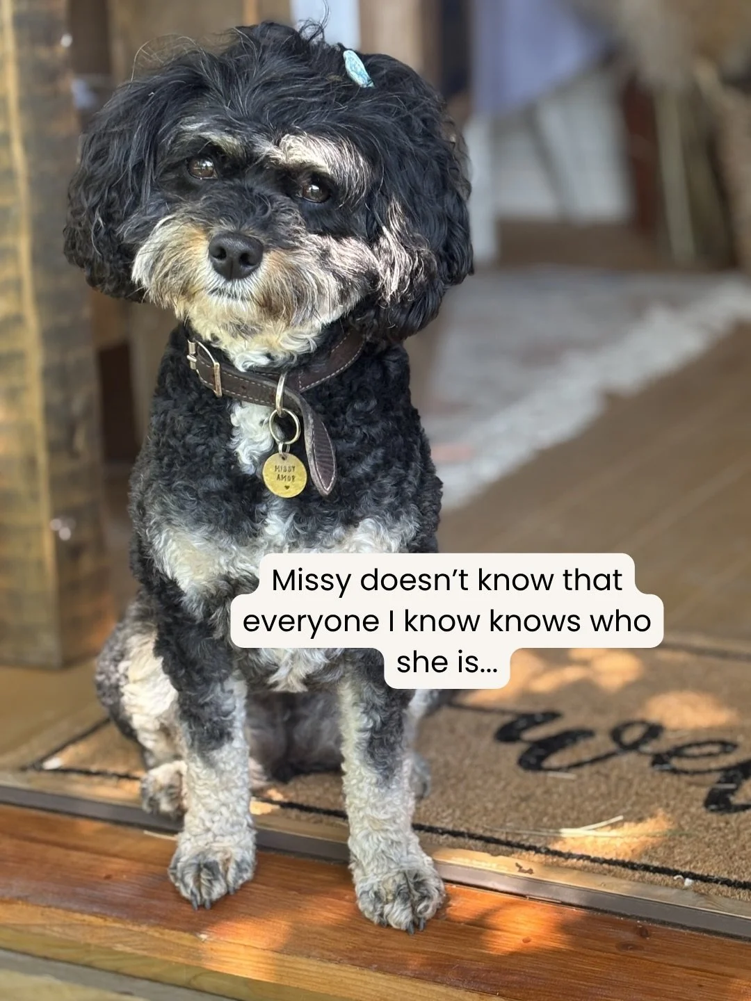 My little sidekick 🧡

#dogloversofinstagram #fortheloveofdogsandflowers #fureverfriends #dogsarethebestpeople #prettydogsofinstagram