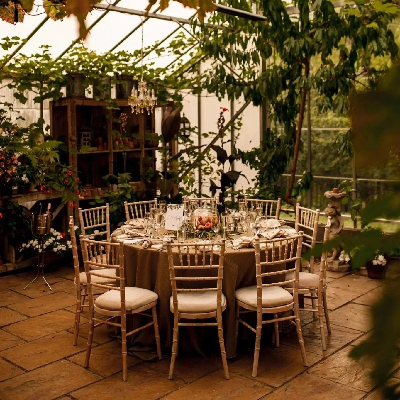 A round table set for a formal dinner, surrounded by wooden chairs with cushioned seats, in a greenhouse with lush green plants and a chandelier hanging from the ceiling.