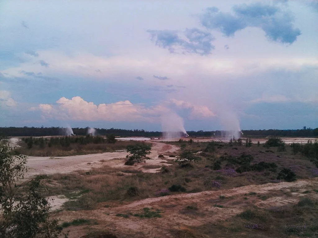 QLD coal-fired power plant - case study.