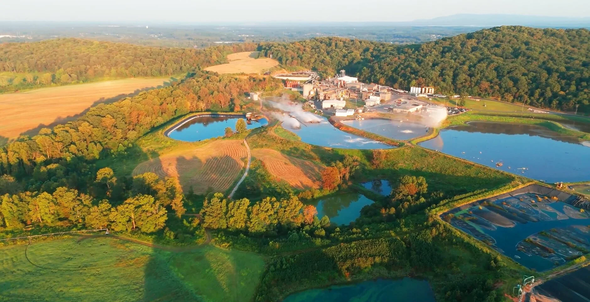 Animal By-product Rendering.