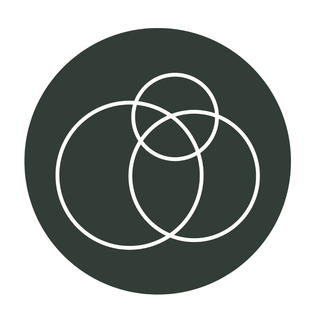 SheLeads Logo - what it represents