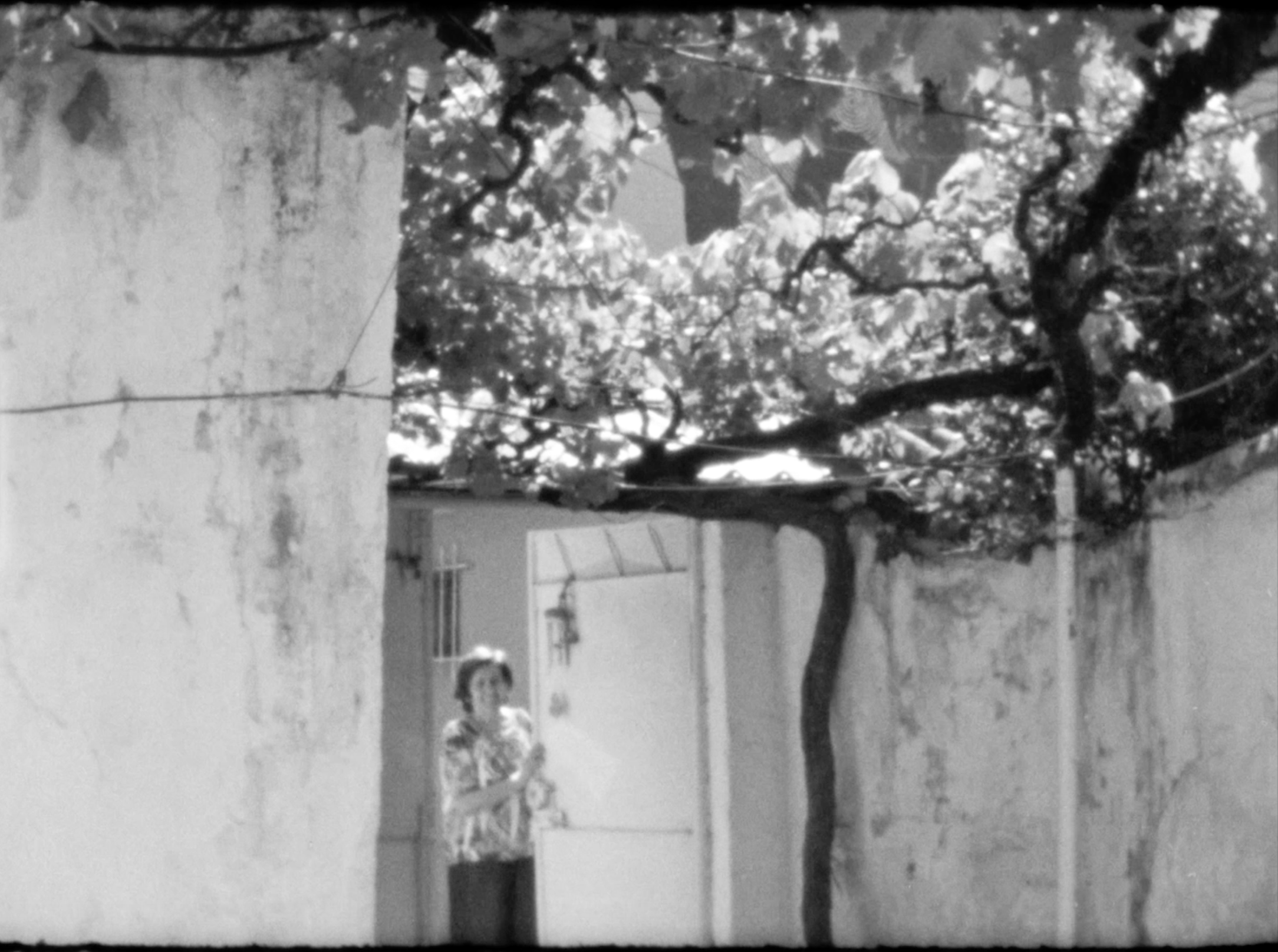 Screenshot 2025-12-16 at 6.48.47 PM.png