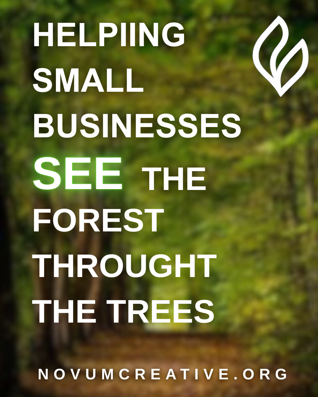 Helping Small Businesses See the Forest Through the Trees