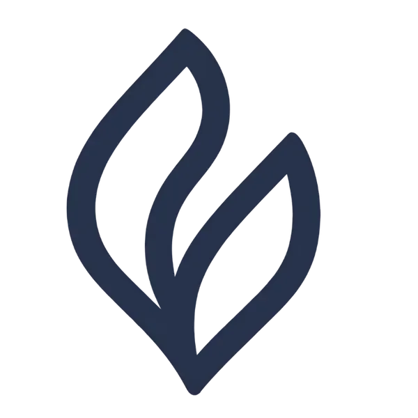 Novum Creative | Media &amp; Design Roanoke