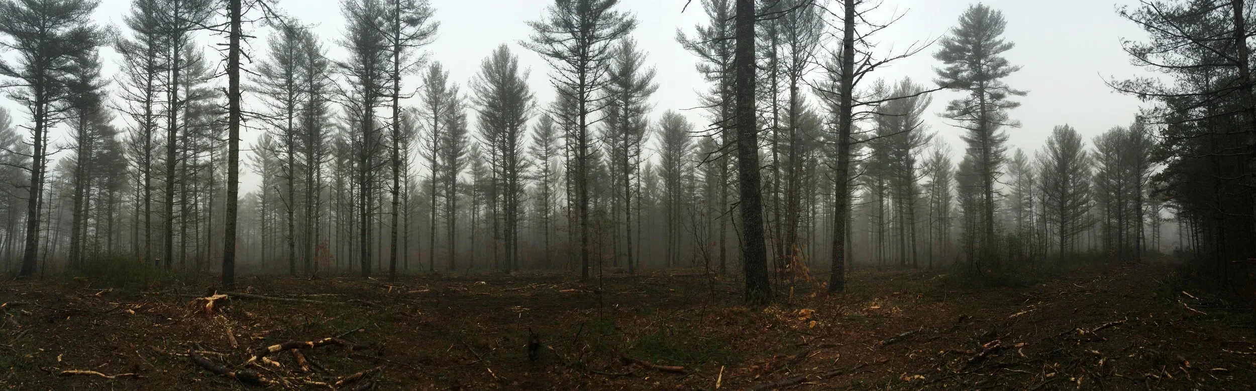 What Fills the Spiritual Void? Demonology and the Ruin of the Maine Wilderness