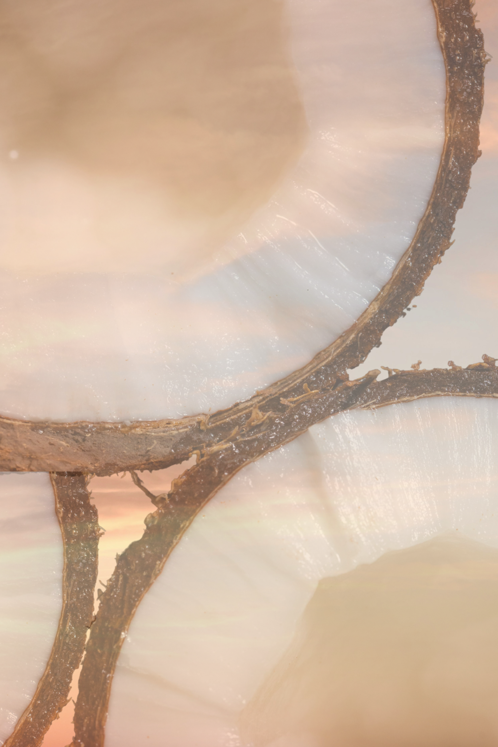 Day-1.png